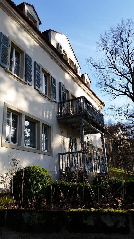 Im Park Wachwitzgrund Apartment