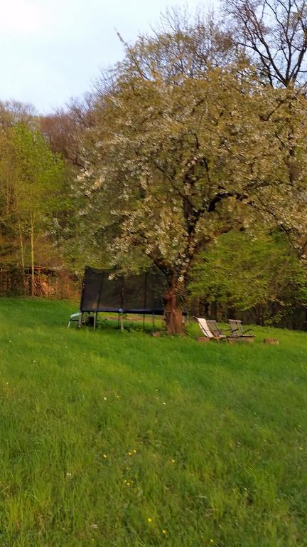Im Park Wachwitzgrund Apartment